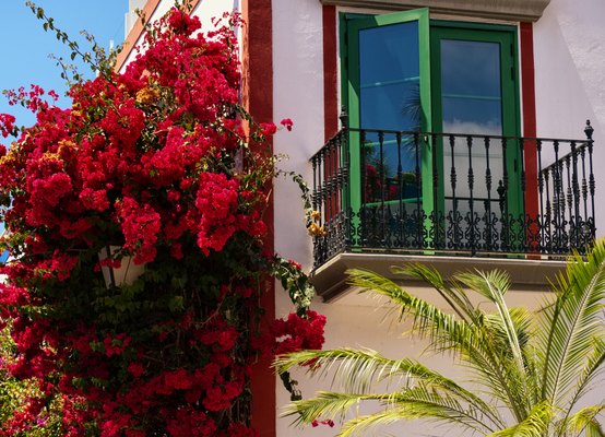 Ventana bicolor fachada